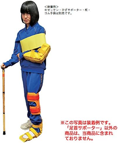 小児脊柱変形治療の最前線 日本側彎症学会 側弯症治療の最前線 基礎編